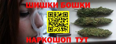 прущие грибы Новозыбков