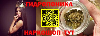 прущие грибы Новозыбков