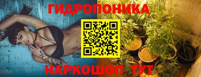 прущие грибы Новозыбков