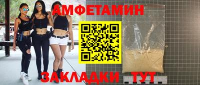прущие грибы Новозыбков