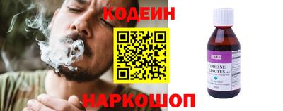 прущие грибы Новозыбков