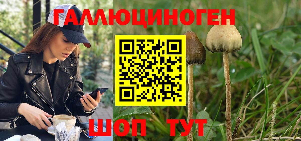 Псилоцибиновые грибы GOLDEN TEACHER Троицк